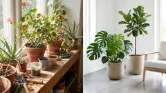 Te 7 roślin sprawia, że mieszkanie nabiera niepozornego, oldschoolowego charakteru