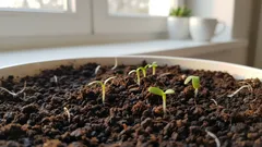 Sadzonki przestają się wyciągać i z każdym dniem stają się coraz silniejsze: niewielki dodatek, który zmienia wszystko