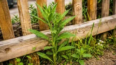 Tam, gdzie podkaszarka nie dociera: skuteczne metody zwalczania chwastów przy ogrodzeniu