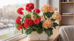 Gdzie umieścić rośliny zamiast na parapecie – i dlaczego jest to ważne