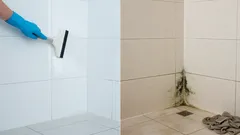 Pleśń w łazience: 7 błędów podczas sprzątania, przez które pojawia się ona wciąż na nowo