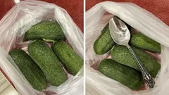 Chrupiące ogórki nawet przez 10 dni? Wszystko dzięki zwykłej łyżce stołowej