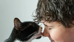 Kocie zwyczaje: dlaczego lizanie to nie tylko okazywanie czułości