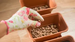 Przez lata niewłaściwie korzystaliście z keramzytu: oto, do czego tak naprawdę służy